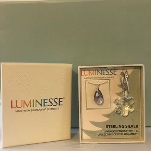 LUMINESSE 2011 Special Edition Pendant/Ornament